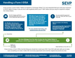 Infographic from SEVP How to Handle Form I-515A